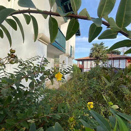 T2 Piscine Merveilleux Espace Naturel, Court De Tennis, Parking Gratuit